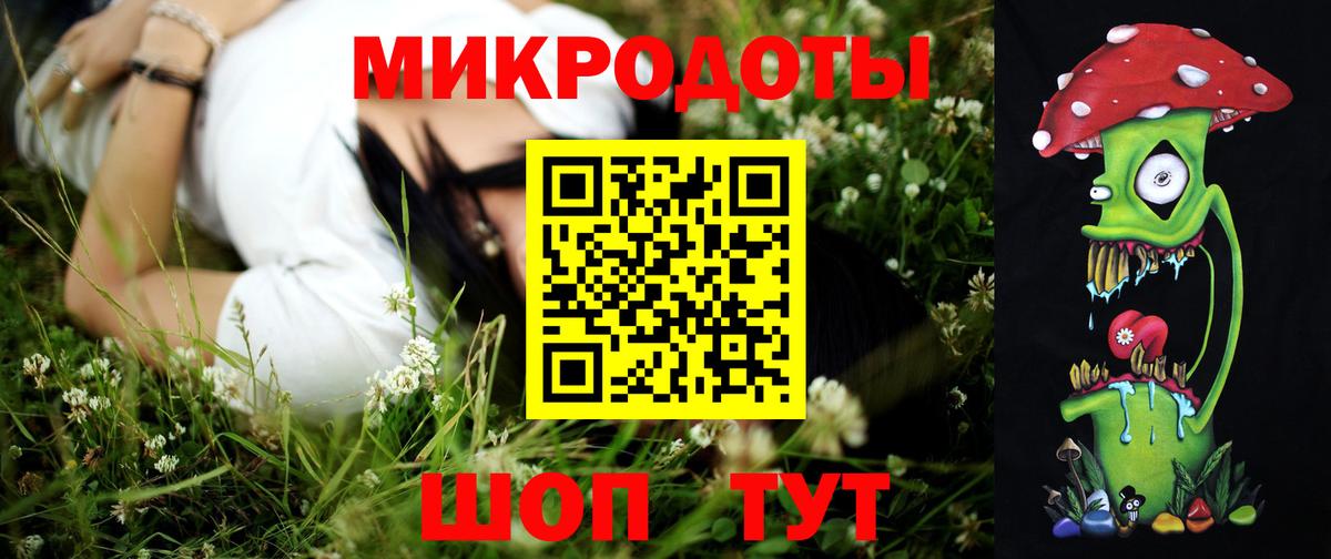 Псилоцибиновые грибы мицелий Верхняя Пышма